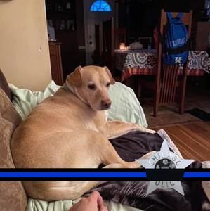 Meet your Posher, Maxwell